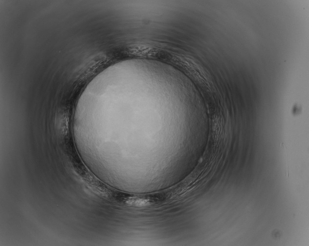 X0000094370602200711242001