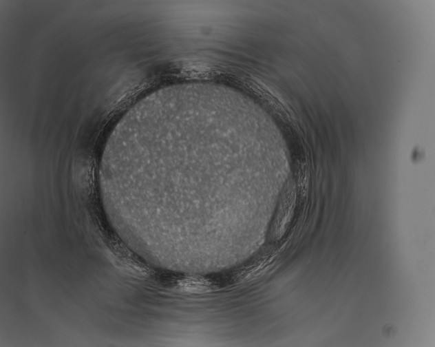 X0000094370603200711242001