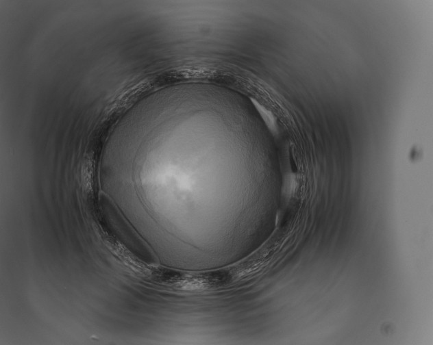 X0000094370604200711242001