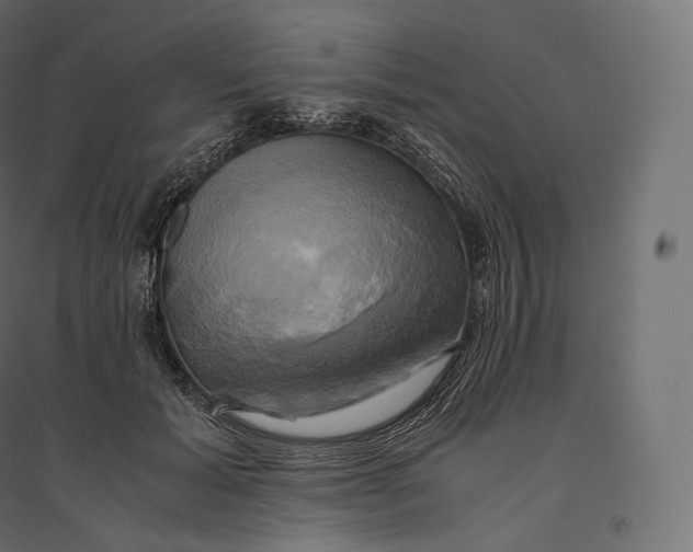 X0000094370605200711242001