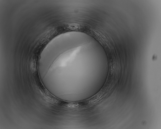 X0000094370606200711242001