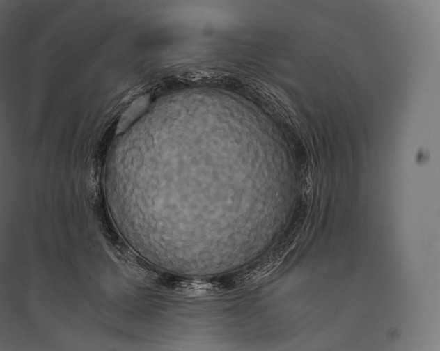 X0000094370607200711242001