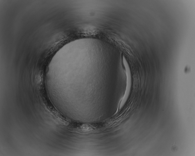 X0000094370608200711242001