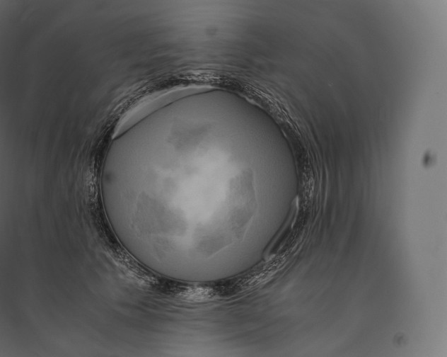 X0000094370609200711242001