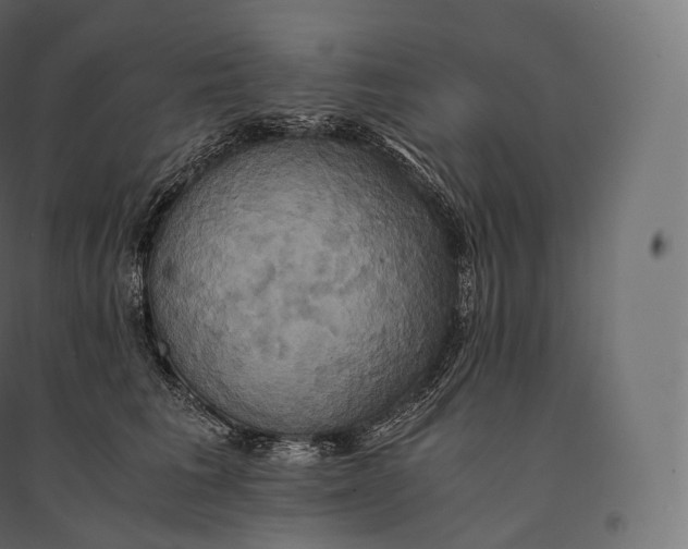 X0000094370613200711242001