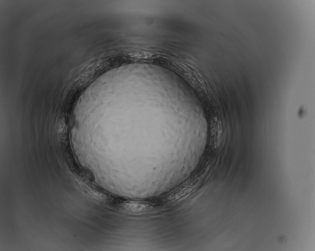 X0000094370614200711242001