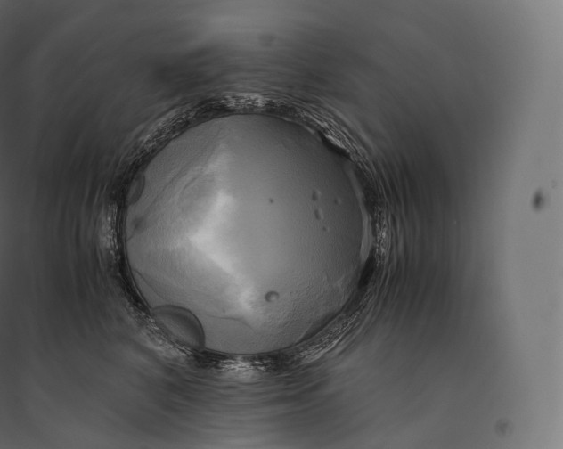 X0000094370616200711242001