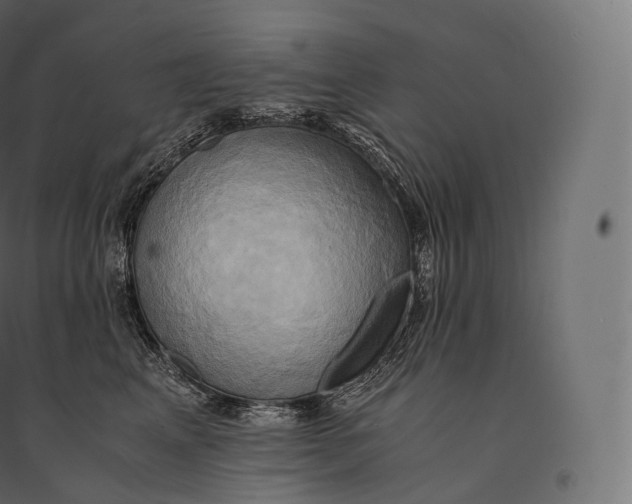 X0000094370617200711242001