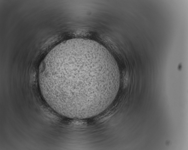 X0000094370619200711242001