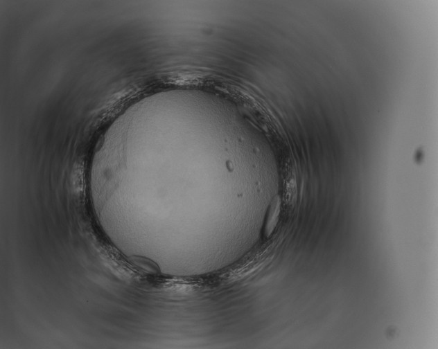 X0000094370620200711242001