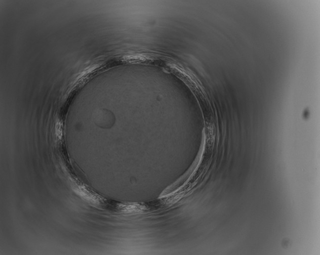 X0000094370621200711242001