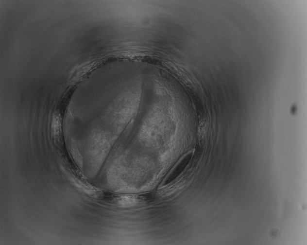 X0000094370623200711242001