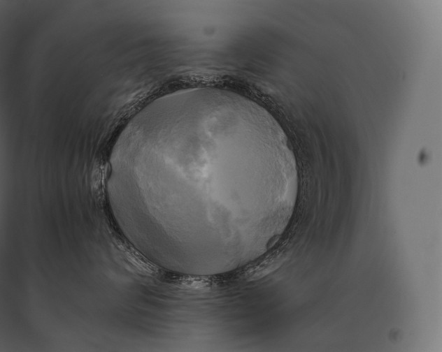 X0000094370624200711242001