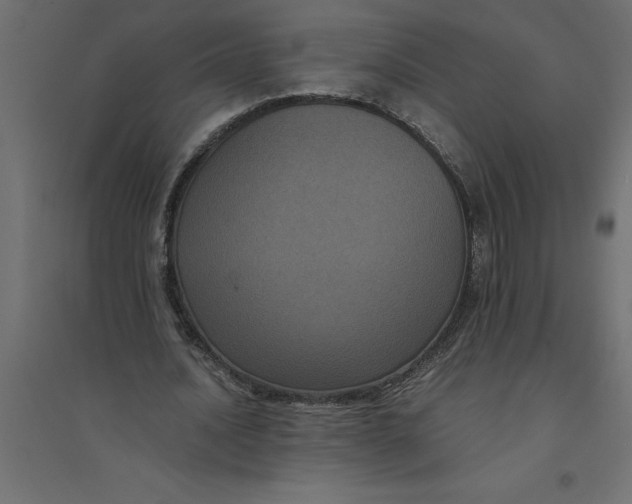 X0000094370628200711242000