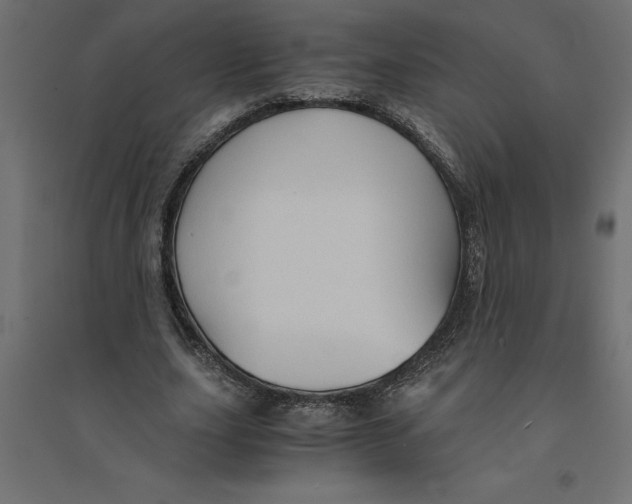 X0000094370631200711242000