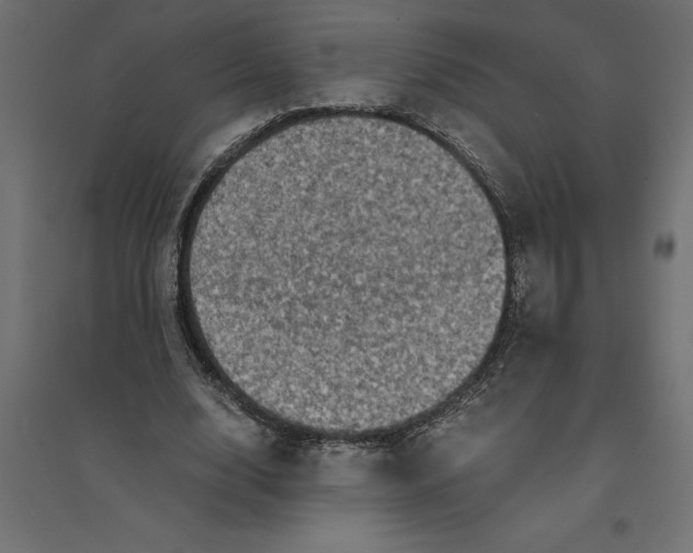 X0000094370632200711242000