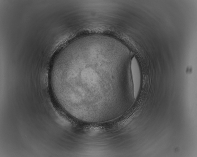 X0000094370638200711242000