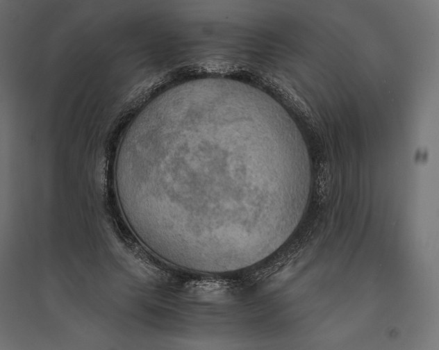 X0000094370639200711242000