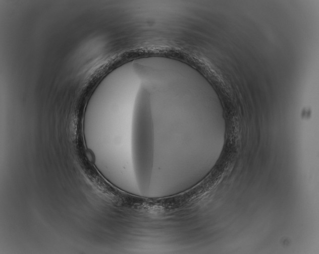 X0000094370640200711242000