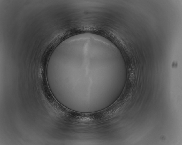 X0000094370643200711242000