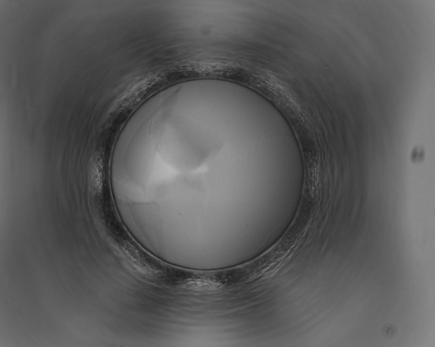 X0000094370644200711242000