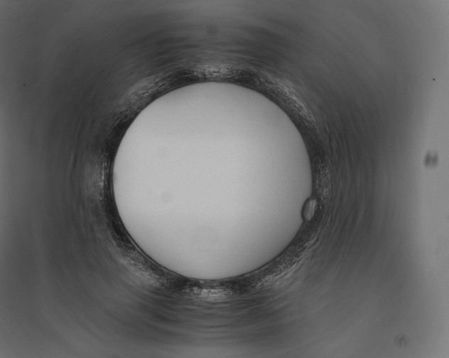 X0000094370645200711242000