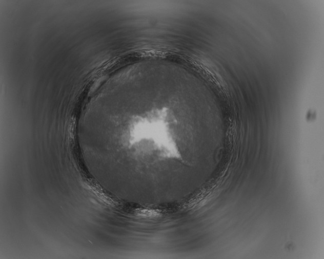 X0000094370649200711242001