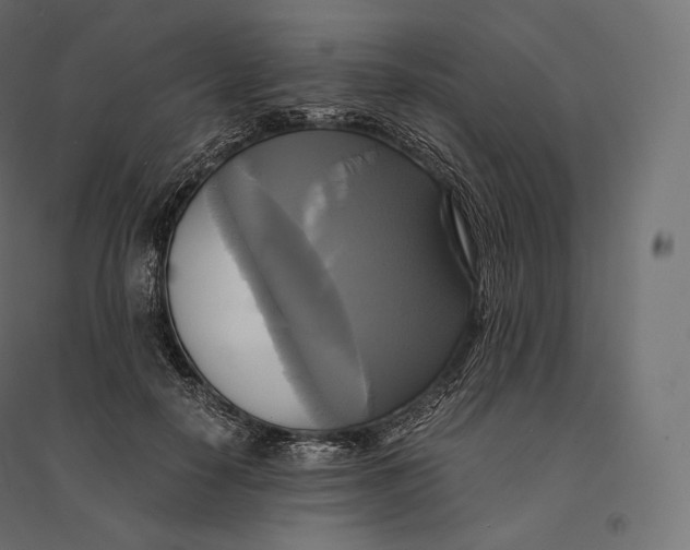 X0000094370650200711242001