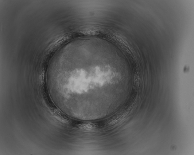 X0000094370652200711242001