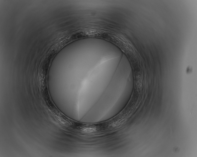 X0000094370653200711242001