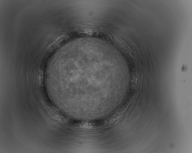 X0000094370656200711242001