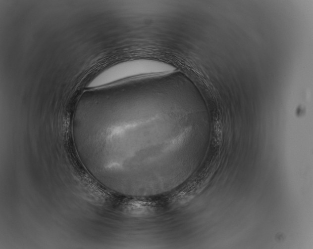 X0000094370657200711242001