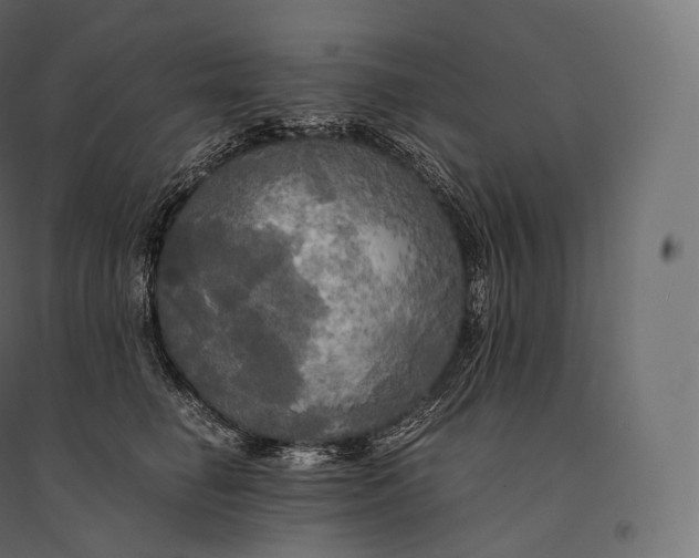 X0000094370662200711242001