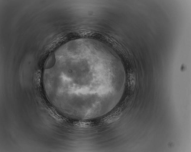 X0000094370664200711242001