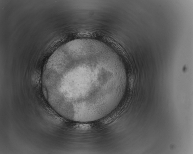 X0000094370665200711242001