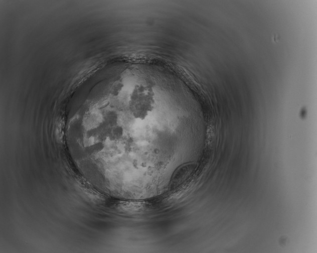 X0000094370671200711242001