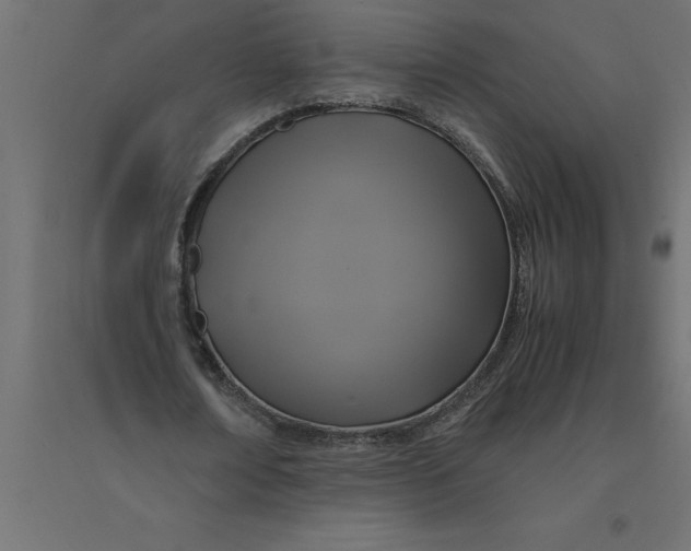 X0000094370674200711242000