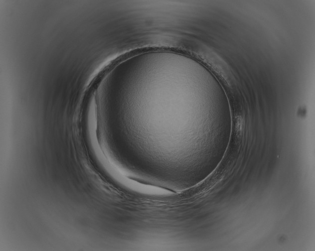 X0000094370676200711242000