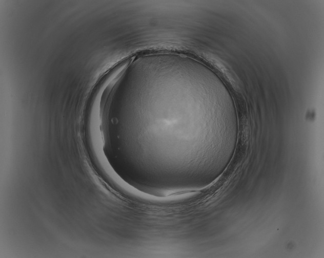 X0000094370677200711242000