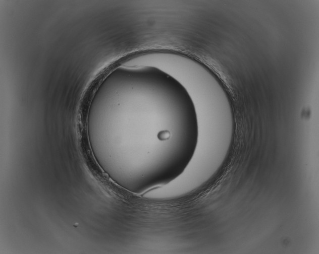 X0000094370680200711242000