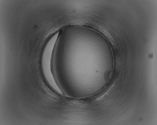 X0000094370681200711242000