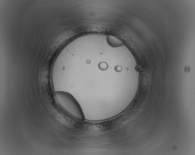 X0000094370683200711242000