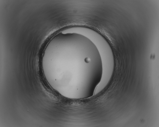 X0000094370684200711242000