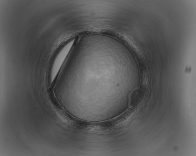 X0000094370685200711242000