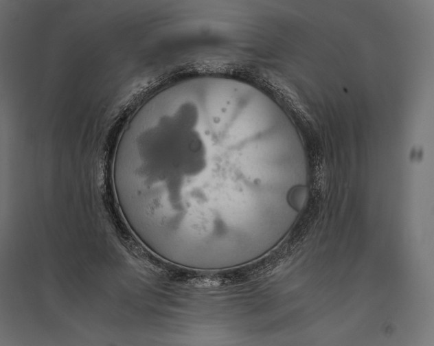 X0000094370687200711242000