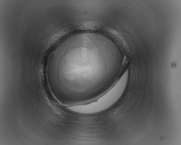 X0000094370688200711242000