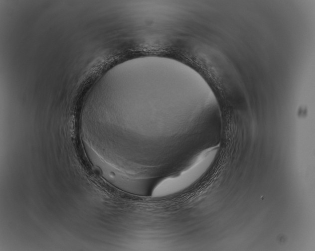 X0000094370689200711242000