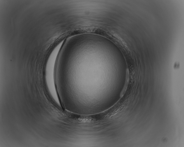 X0000094370693200711242000