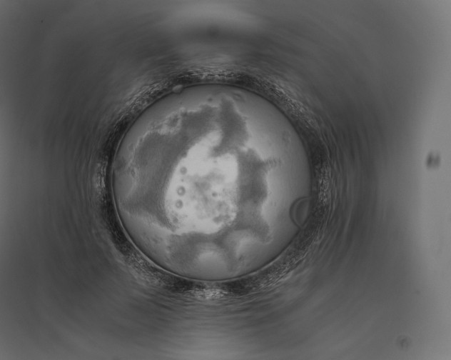 X0000094370695200711242000