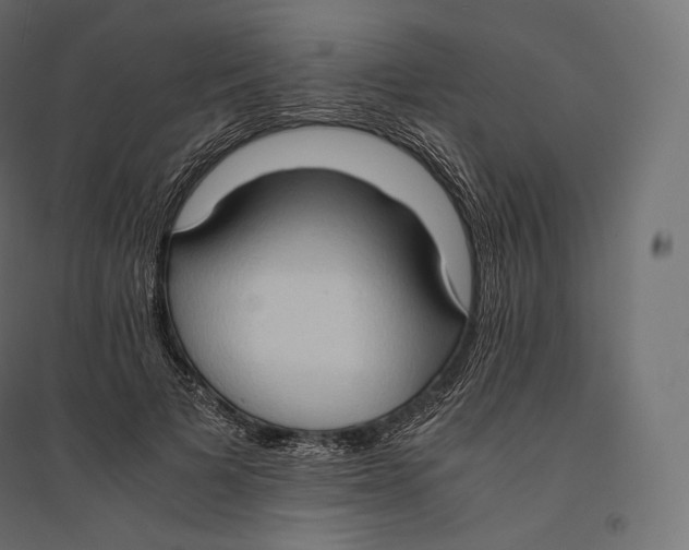 X0000094370697200711242000